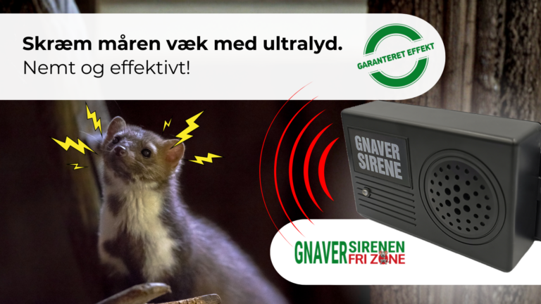 Skræm måren væk med ultralyd